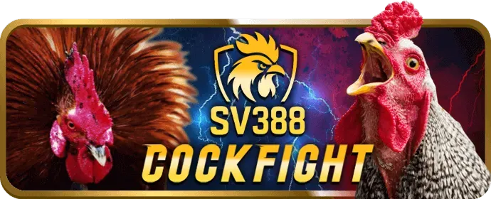 Cá cược thể thao uin88 win